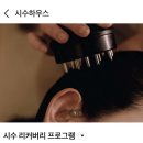 압구정 1인 사우나 시수하우스 솔직후기
