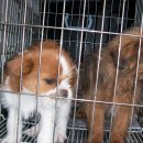 학산지구대 이미지