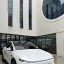 솔라가드 볼텍스ir 테슬라 모델y 주니퍼 이런느낌