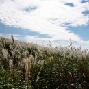 은빛추억 이미지