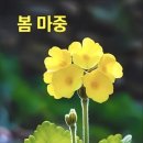 수연농장 이미지