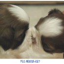 예뻐라 이미지