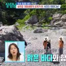 스테이사룡 이미지