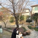 작은마을, 작은숲 이미지