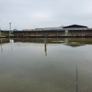 함박골낚시터 이미지