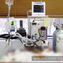 수서동물병원 이미지