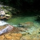 과천표구사화랑기획 이미지