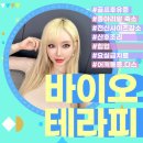 스타테라피