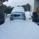 별이네농장 이미지