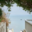📷 부산 세미 웨딩 야외스냅 촬영 후기_식전영상/식중영상/모청용 캐주얼 가성비 웨딩스냅