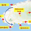 송악사슴영농조합법인 | 환갑여행 DAY3-② 돌고래 그다음 이야기🐬 서귀포 송악산~대평포구 드라이브 코스