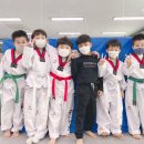 배곧 청록태권도장 이미지