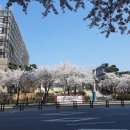 군포우체국 앞 이미지