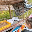 금성한의원 | 담양 아이랑 가볼만한곳 담양여행 시간여행 추억의 골목