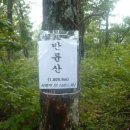 여량초등학교 이미지