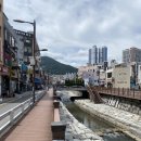 어벤더치커피 부민점 | [부산 초량 고깃집] 거북이동네에서 샤브샤브+삼겹살 세트 먹어본 솔직후기!