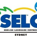 시드니 휘트니스 이미지