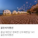 회사단양팀태안 이미지