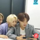 라이브아트
