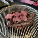 [영월 가족여행] 영월 맛집 서강연탄구이집 방문 후기 &amp; 산책 코스 추천