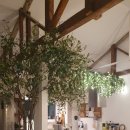 고내리본 이미지