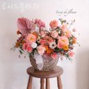 루시드플라워
