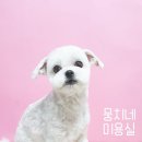 뭉치네 미용실 이미지