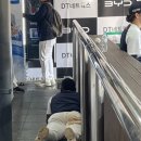 케이티존