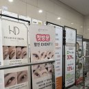 아이플로아 | 내돈내산/마곡 속눈썹 아이플로아 솔직후기!! 애정샵