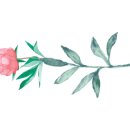 세진커텐장식 이미지