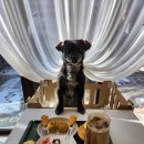 카페노이 이미지