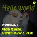 레인보우스쿨 | 백엔드 개발자가 되고 싶었던 이유 | 오즈코딩스쿨 수료후기