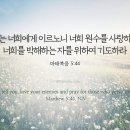 오늘의 말씀📖 이미지