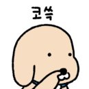 한예술유치원 이미지