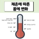체온정