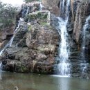 시노래 페스티벌 이미지