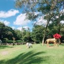 저지리 예술인 마을 이미지