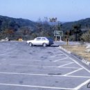 주정차-39 이미지