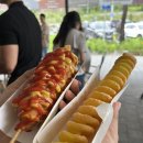 주원농장 | 2박3일 강릉여행 1일차 형제칼국수 사임당오징어순대 오징어회