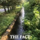 읍내리농로 이미지