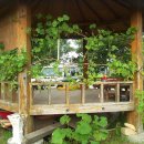 소원그린 이미지