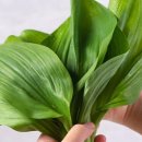 기명농장 이미지