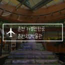 자연속으로 나를 찾아서 | 여름 강원도 여행 실내 가볼만한곳 국립춘천박물관 볼거리 포토존 추천