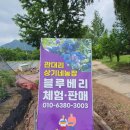 상기농장 이미지