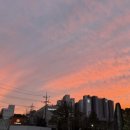 붉은노을 이미지