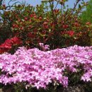 다락산장 이미지