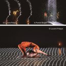 한국공연예술매니저 | 프랑스 현대무용 융복합퍼포먼스 &lt;픽셀&gt; 공연후기-대구