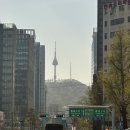파크힐 여의도 | #모녀 호캉스 [비스타워커힐서울] 벚꽃 산책로 포레스트파크 후기 (벚꽃 시즌 호텔 추천)