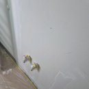 내포 아파트 탄성코트 후기 칠에반하다 줄눈