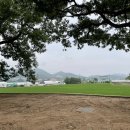 참치 컴퍼니 이미지